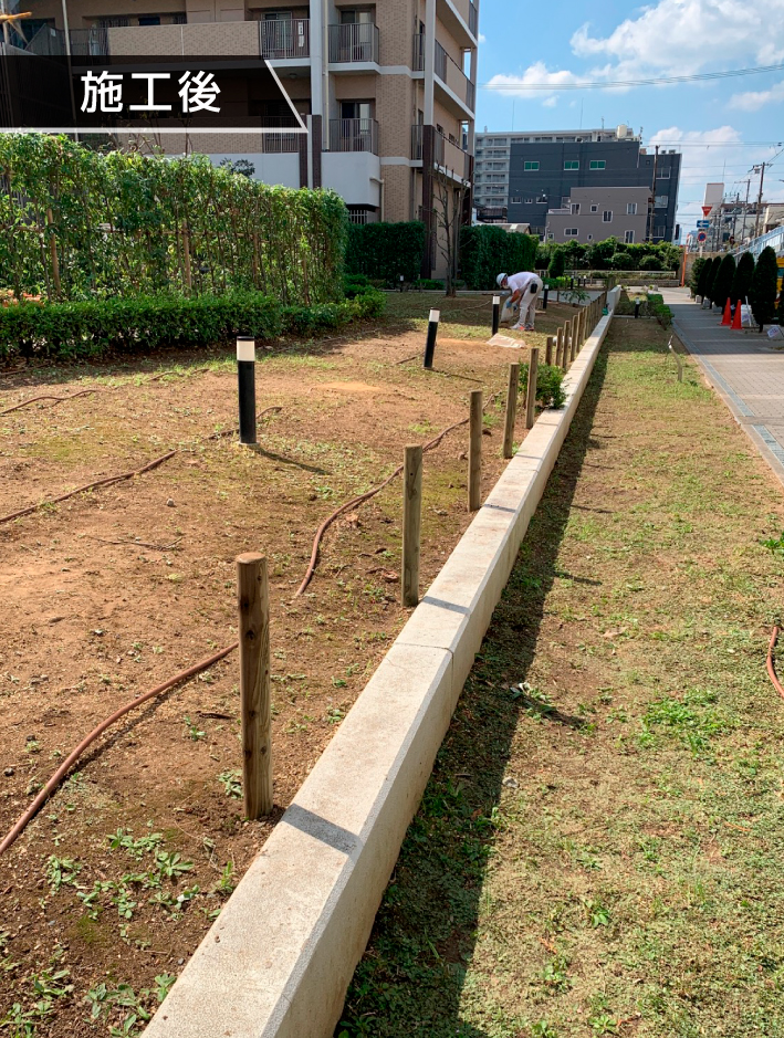 サンプルイメージ